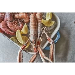 Staub Set Di Pirofile Rettangolare - 3-pz., Turchese Antico -Cucina Negozio 424423155